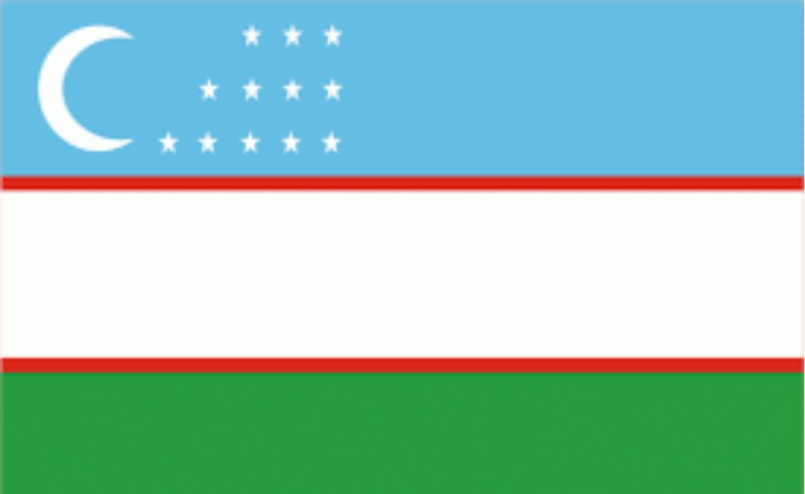 Özbekistan Vize İşlemleri