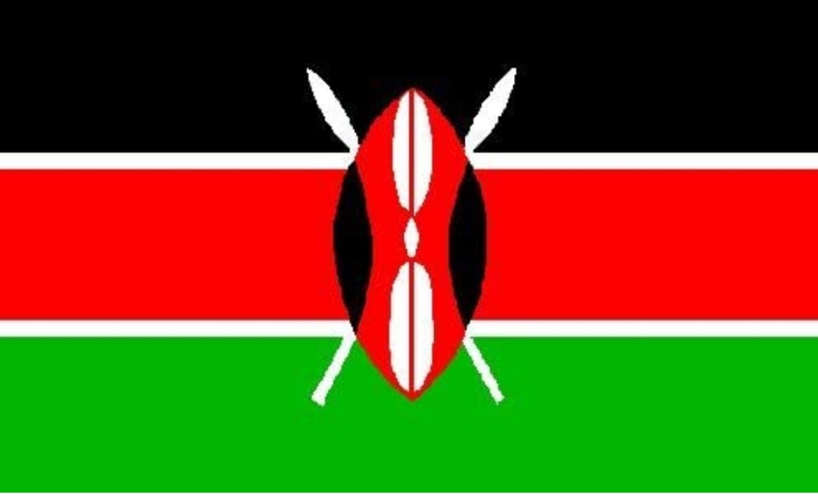 Kenya Vizesi