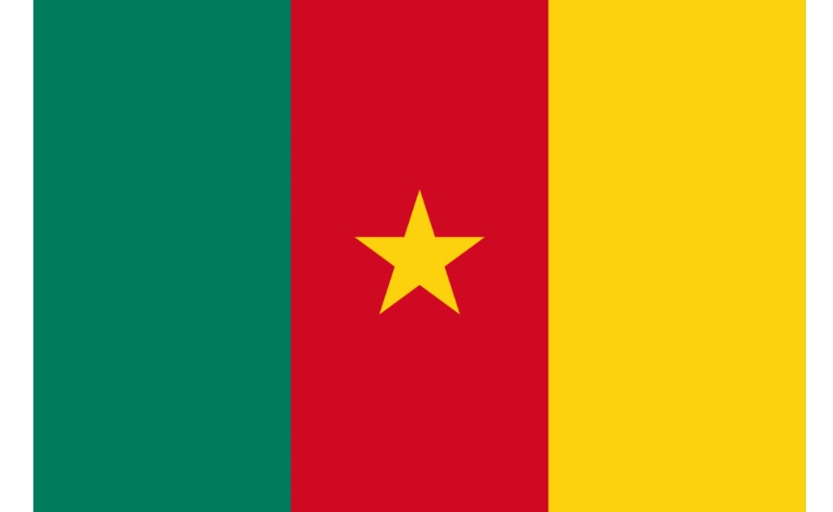 Kamerun Vize İşlemleri