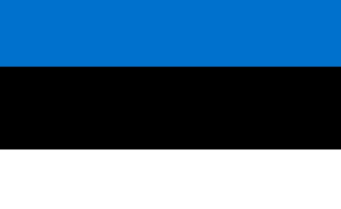 Estonya Vize İşlemleri