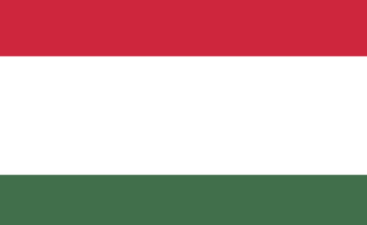 Macaristan Vize Başvurusu